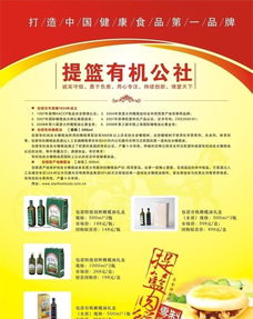 广州印刷设计加工 食品广告宣传单设计的价格、厂家与图片指南